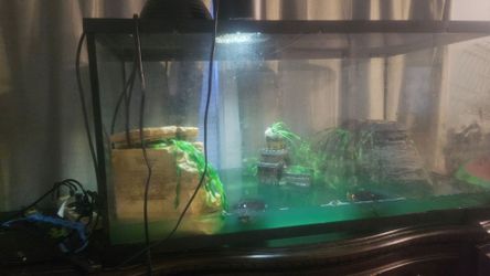 Large tank and accessories