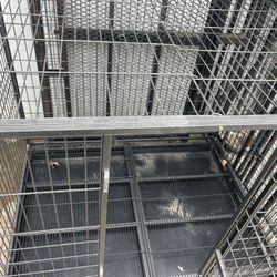 Call Dog Pet Kennel