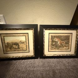 Safari Animal picture Set