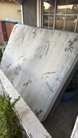 Free queen mattress