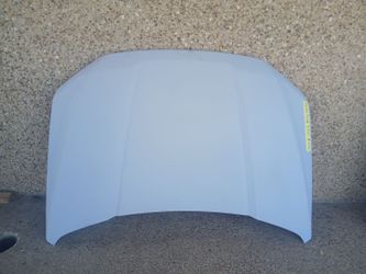 2015-20 Ford F-150 Hood (Auto Parts)
