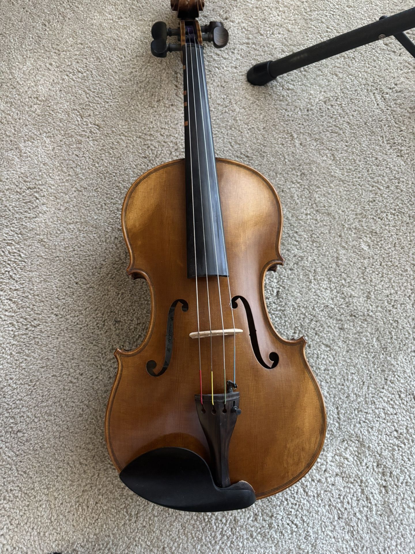 Viola - STA600 Scott Cao
