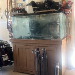 Fish tank 135 Gal