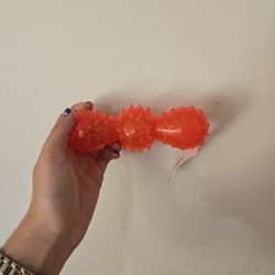 JoyHound squeeky dog toy