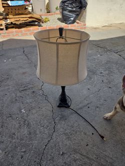 Lamp