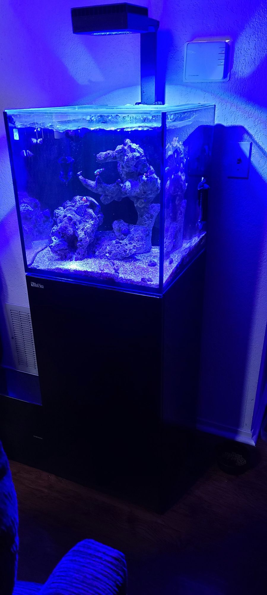 Red Sea Nano Reefer Rsl90 Eshopps Skimmer Prime Fuge Light For Sale In Stockton Ca Offerup Red Sea Nano Reefer Rsl90 Eshopps Skimmer Prime Fuge Light For Sale In Stockton Ca Offerup