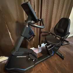 Horizon Recumbent Bike