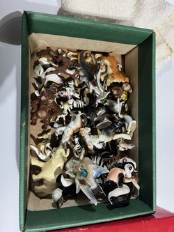 Little Glass Animals 