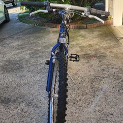 Bicycle In Good Condition Works Perfectly  24inch