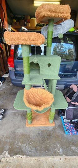 Cat house