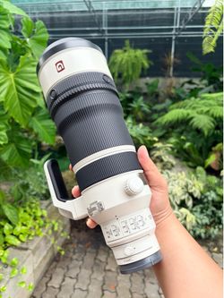 Sony 100-400 4.5 GM