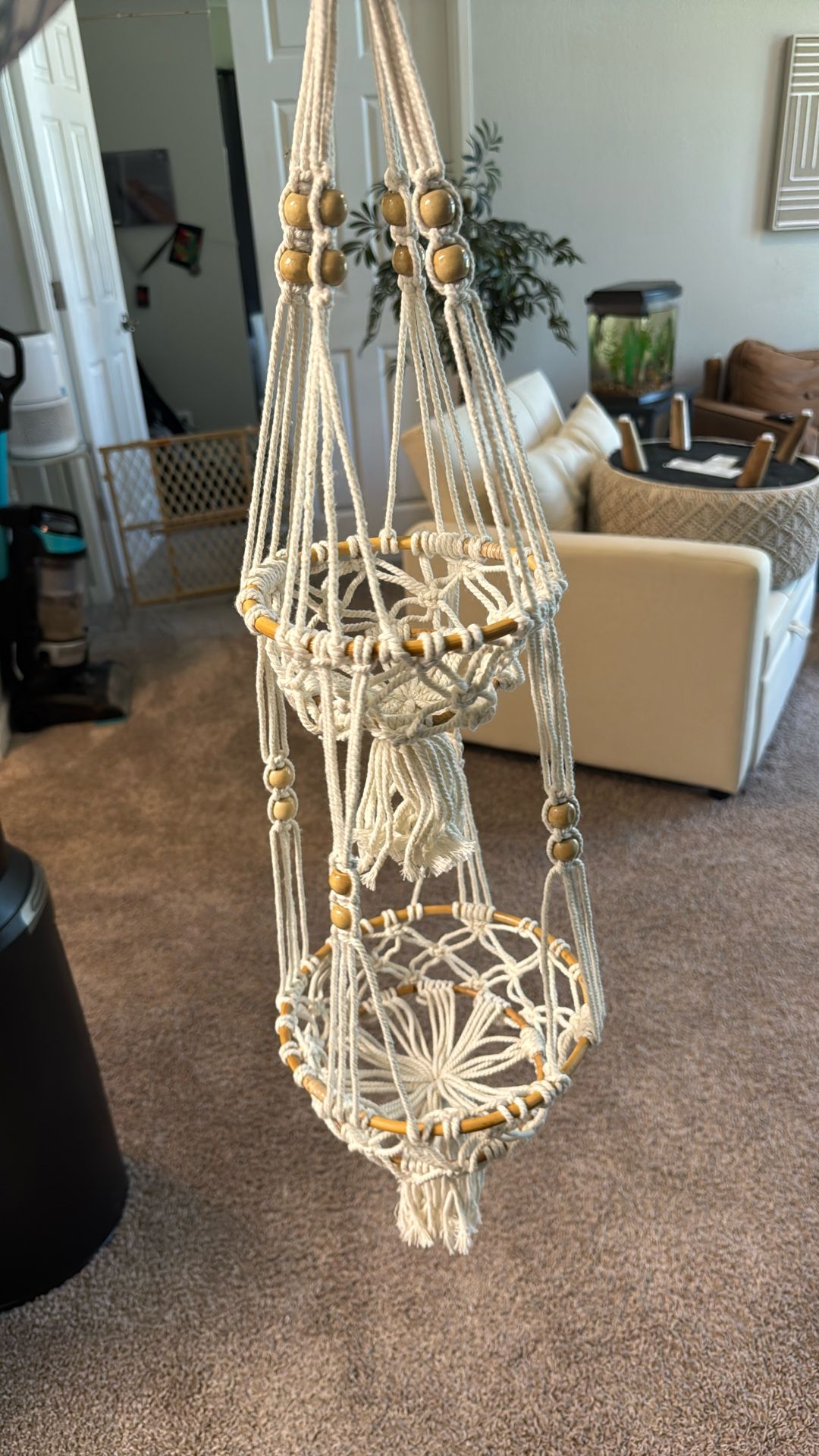 plant holder 