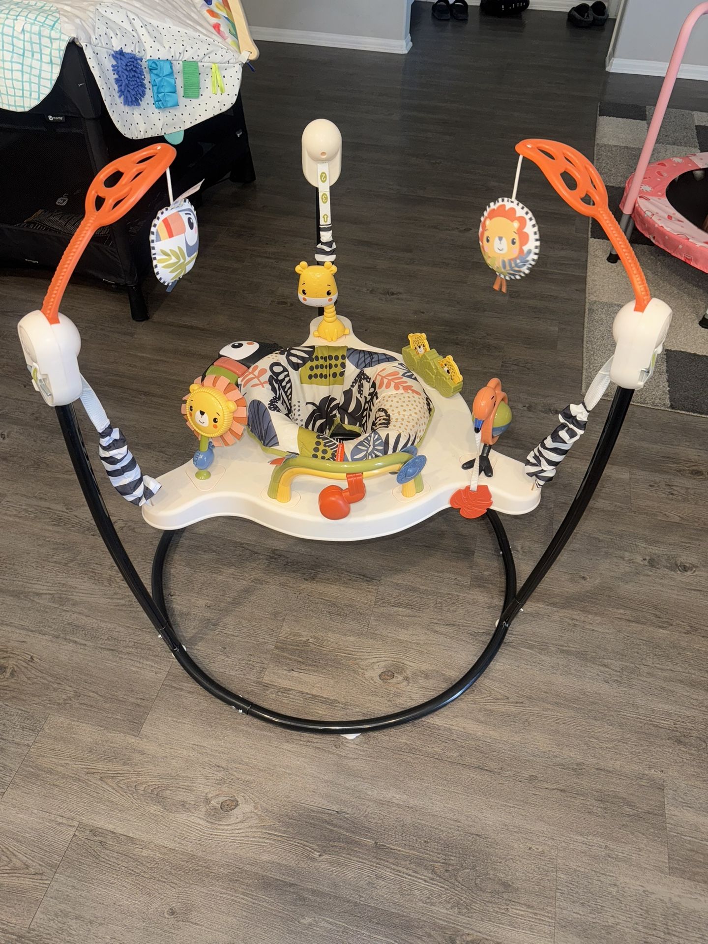 Fisher Price Baby Bouncer