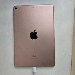 Ipad Mini (5th Generation)