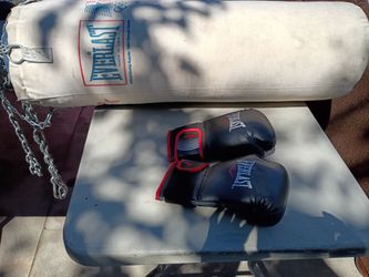 Vintage Everlast Punching Bag with Boxing Gloves