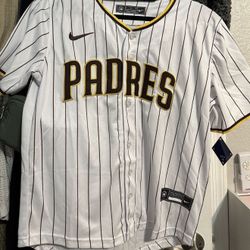 Padres Striped Brand New Jersey Blank Back Official Baseball Women Top Size Large