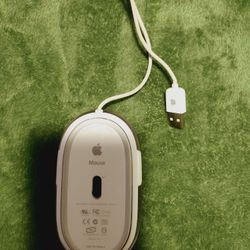 Apple 🍎 Mouse 