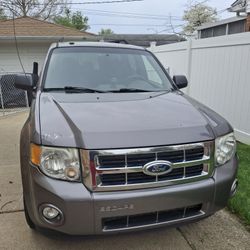 2011 Ford Escape