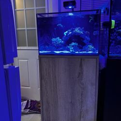 Fish Tank AIO 30 Gallons Saltwater Aquarium Fishtank