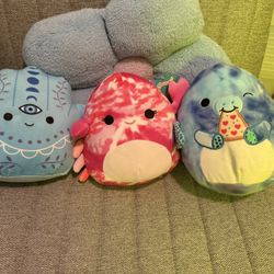 Squishmallow bundle