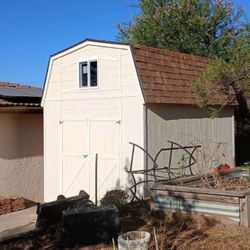 10x12x12 Barn Style Shed