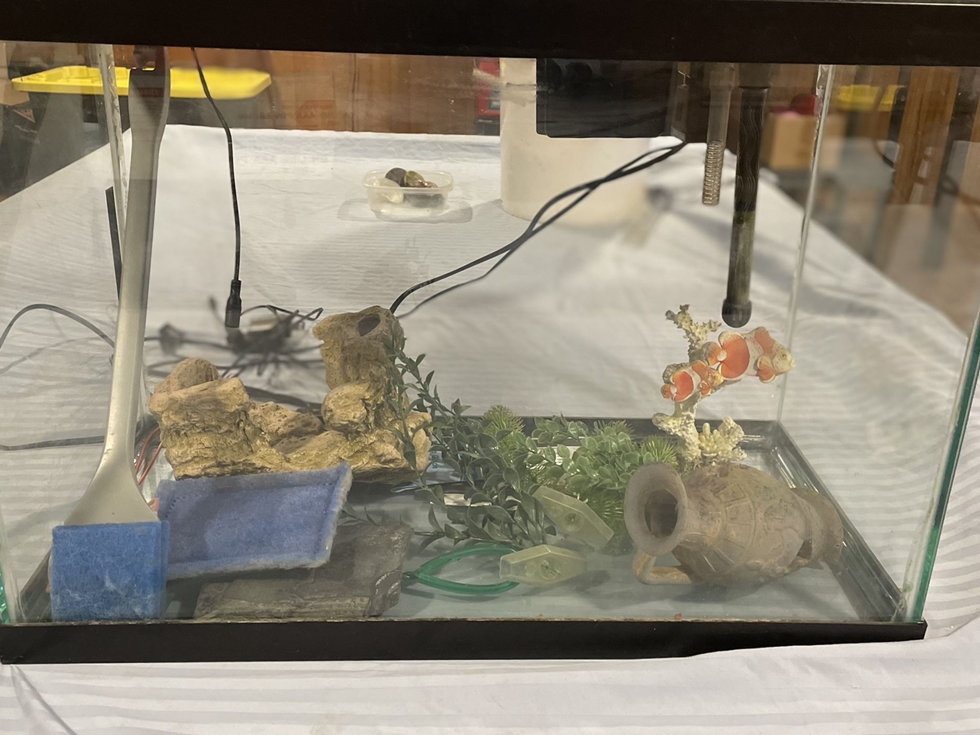 20 Gallon Aquarium