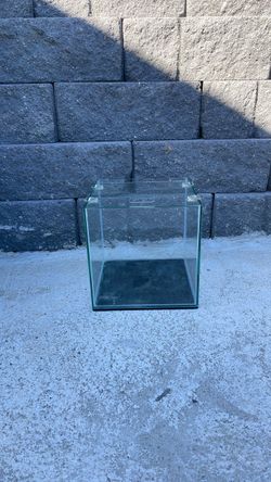 3 gallon aquarium