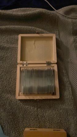 Amscope microscope slides