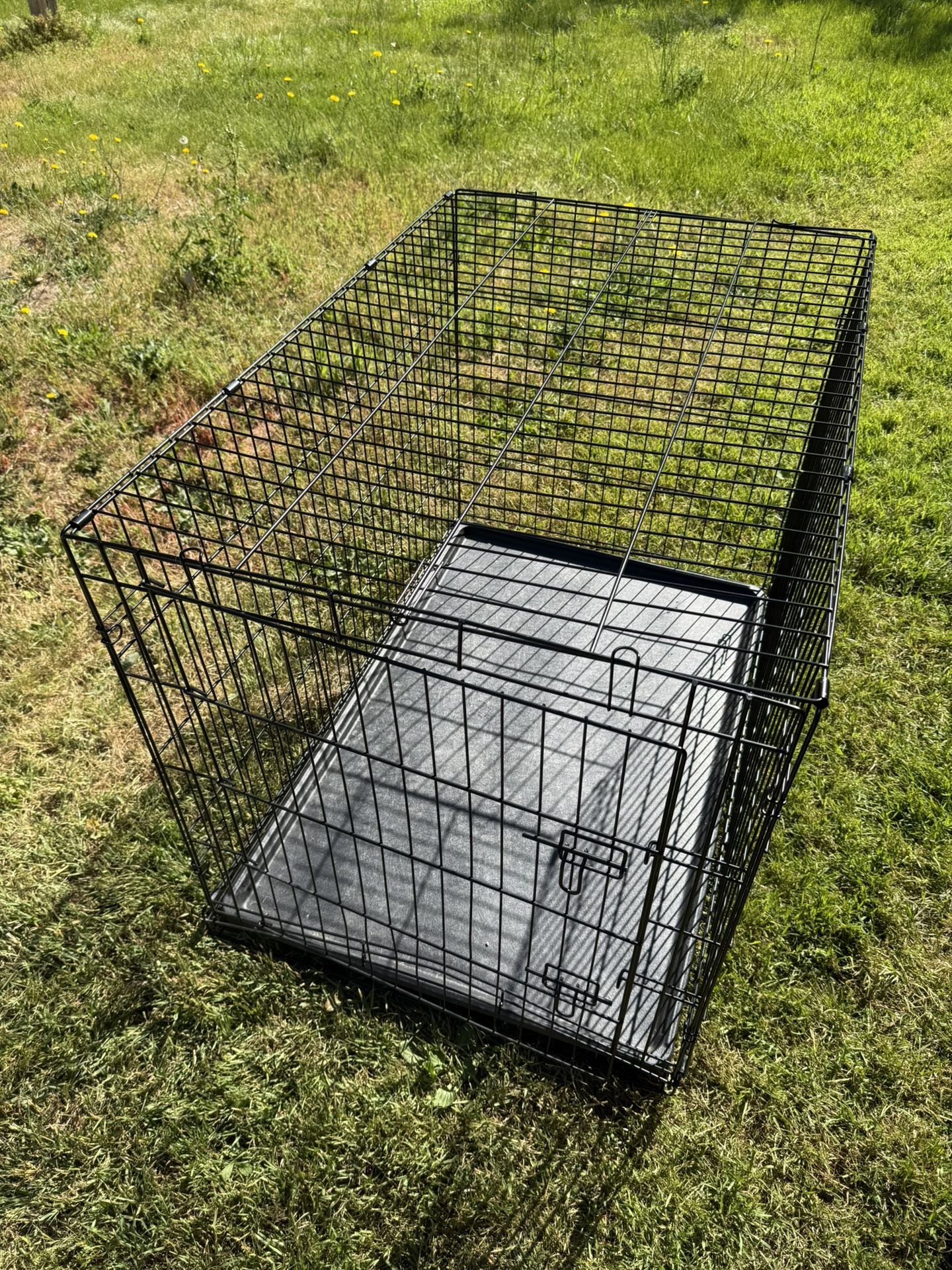 Dog Kennel