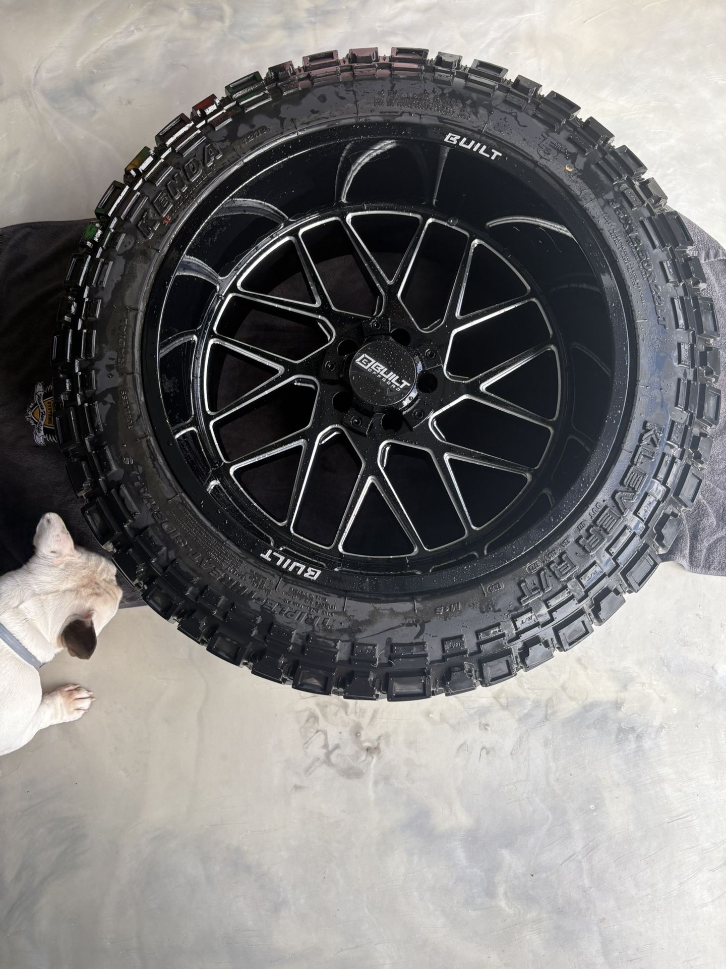 Tires With Built 22β Rims