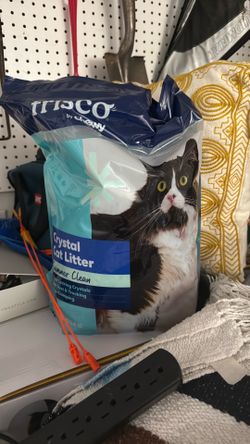Free cat litter