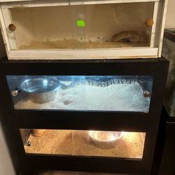 White Vision Snake Rack