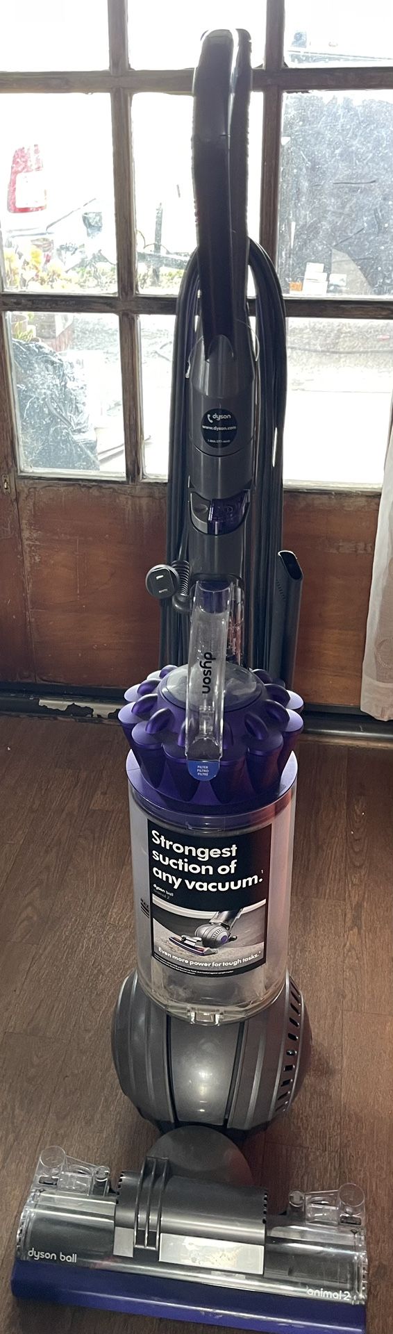 Dyson Animal Ball vacuum