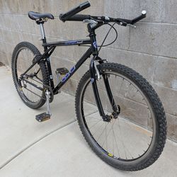 GT Singlespeed Bike
