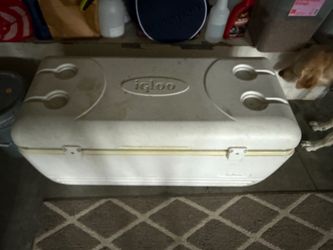 Igloo 156 Qt Cooler