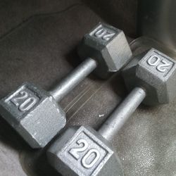 20 Pounds Dumbbells