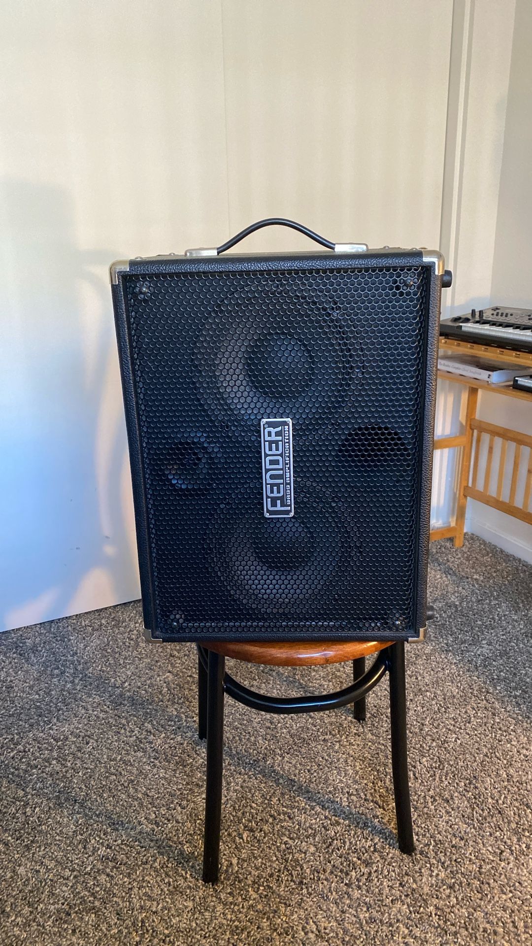 Fender Bass Guitar Amp Speaker Cab