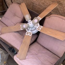 Indoor/outdoor Fan