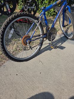 Blue roadmaster Mt fury mountain bike