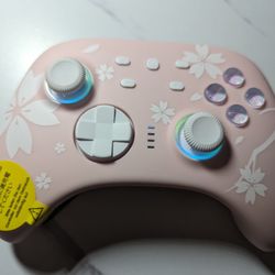 Nintendo Switch RGB Wireless Controller