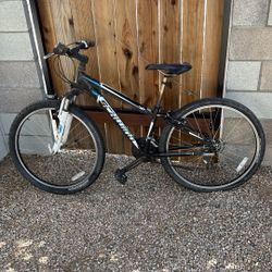 Scwinn Kids Mountain Bike