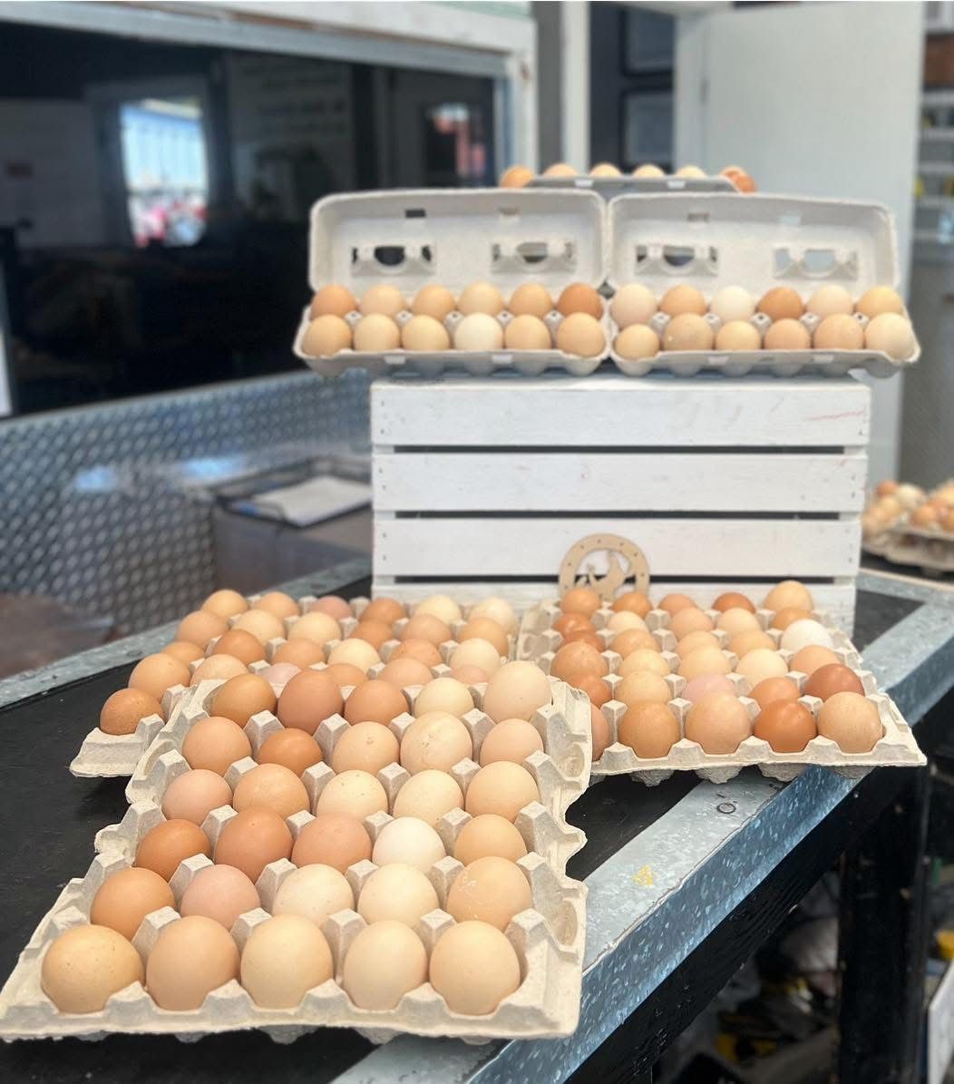 Eggs