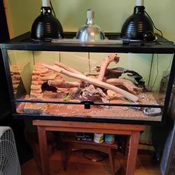 40 Gal Reptile Cage Full Setup