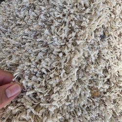 700+ Suare feet Of Brand New Carpet. 