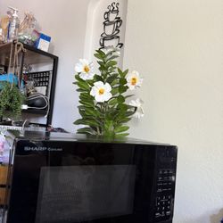 Sharp Microwave $20.00