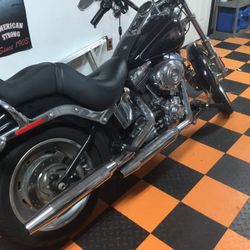 2009 Harley Davidson Softail Custom
