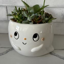 Ghost Planter With Plant