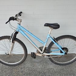 Giant adult cheap bike