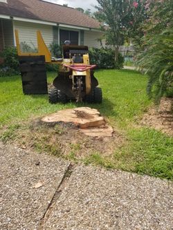 Stump grinder Removal