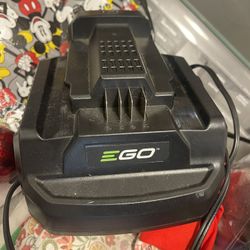 The EGO POWER+ 320W Charger monitors and controls each cell in the battery pack to control temperature for maximum battery life. With industry leading